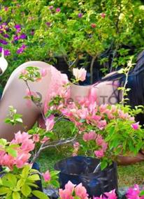 Prostituta GABRIELA, +34603284422, Estepona, 3