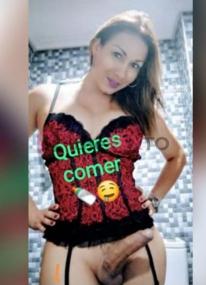 Prostituta TRANSCAMILA, +34602400641, León, 8