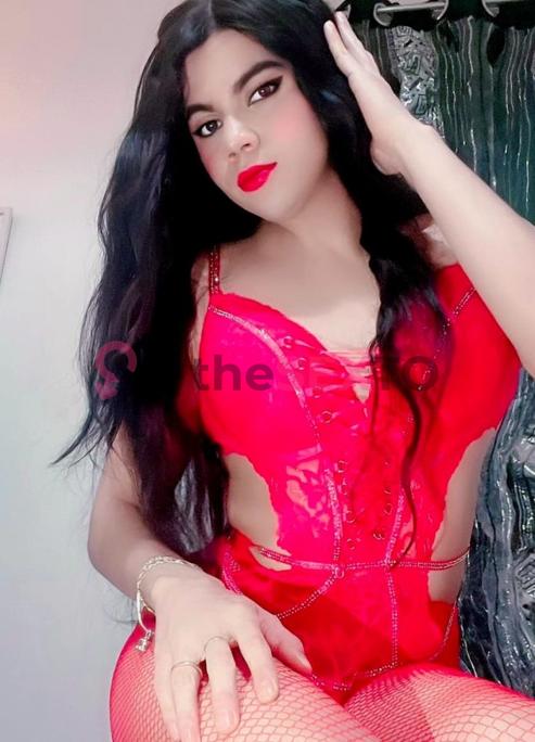 Prostituta DIANA, +34613438073, San Sebastián-Donostia, 1