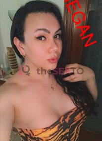 Prostituta MEGAN, +34642557259, Zaragoza, 1