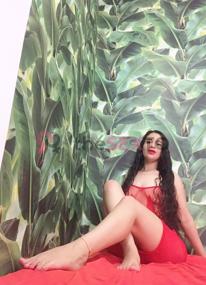 Prostituta DANNA, +34722261090, Alcoy, 4