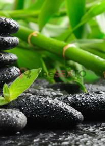 Prostituta LINDASPAMATARO, +34630814239, Mataró, 4