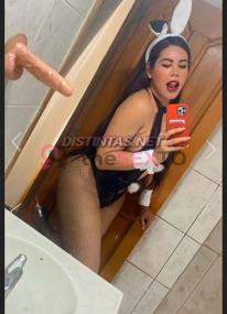 Prostituta LAECUATORIANA, +34642154630, Benidorm, 4