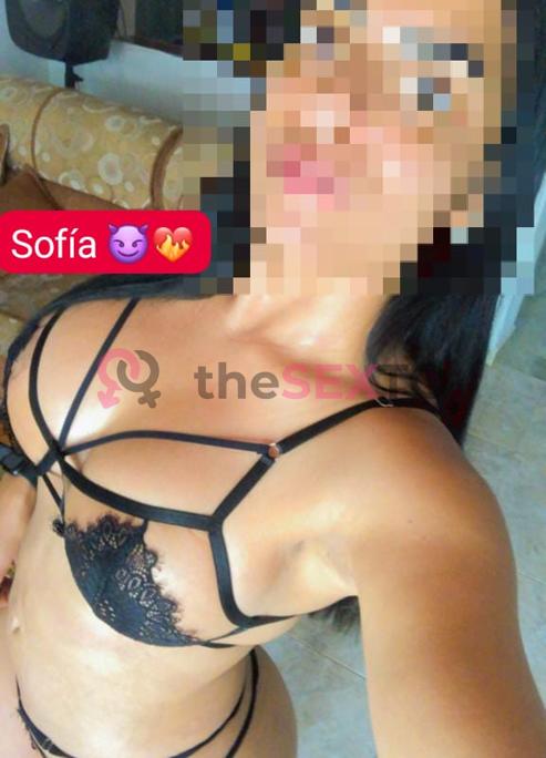 Prostituta SOFIA, +34654704945, Benicarló, 1