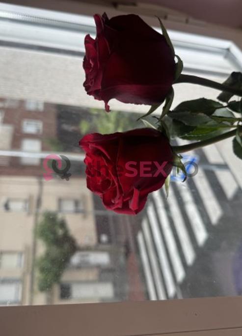 Prostituta LEON, +34624112737, León, 1