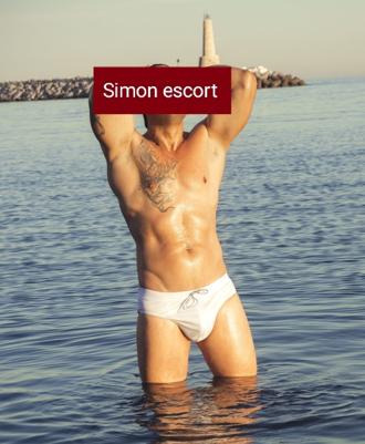 SIMON40, 100