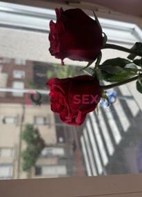 Prostituta LEON, +34624112737, León, 1