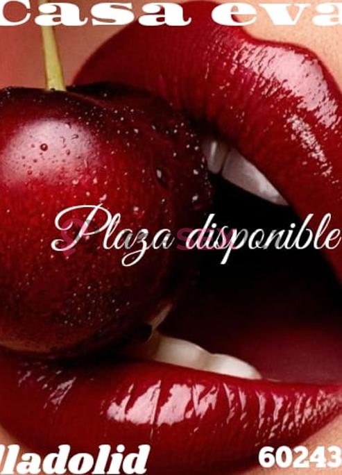 Prostituta PLAZADISPONIBLEEN, +34602458097, Valladolid, 1