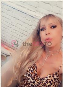 Prostituta ALESSANDRAEVANS, +34662261389, Benidorm, 1