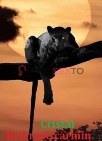 Prostituta REDROSECARMIN, +34699373955, Murcia, 3