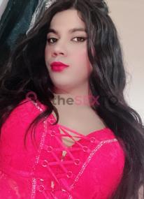 Prostituta DIANA, +34613438073, San Sebastián-Donostia, 4