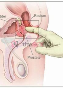 Prostituta DINA, +34602551650, Logroño, 3