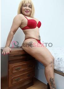 Prostituta TANIA, +34619857350, Irún, 4